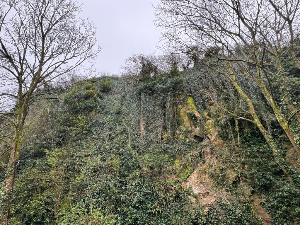 Property photo 2 of 3 View Of The Cliff 2