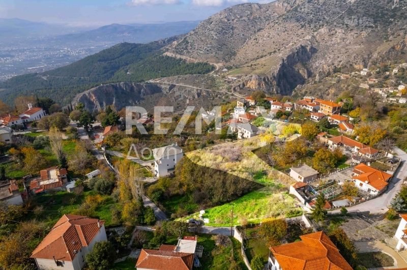 Property photo 3 of 31