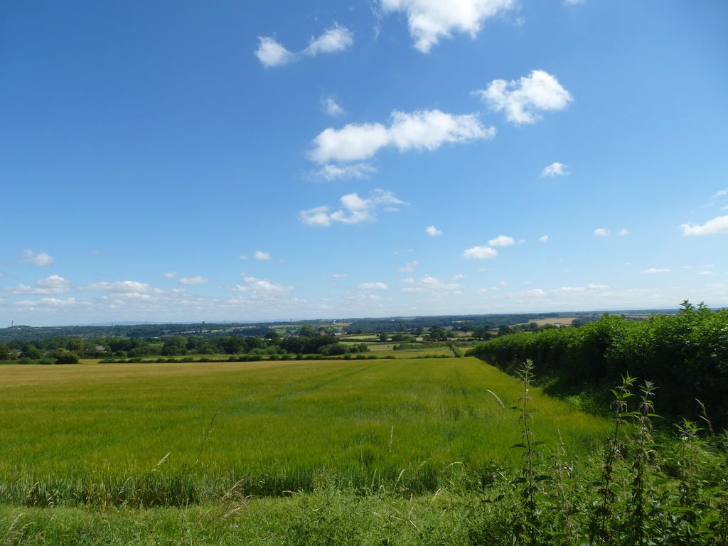 Property photo 2 of 12 View