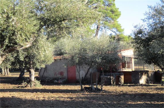 Property photo 1 of 34