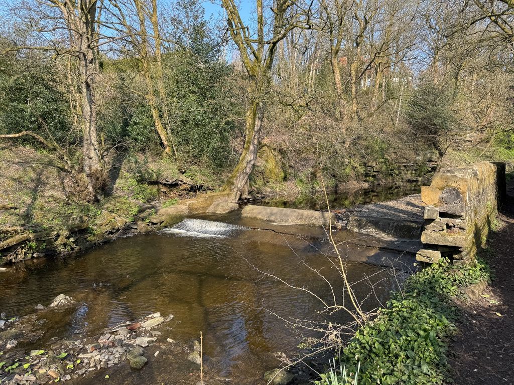 Property photo 3 of 41 3703356