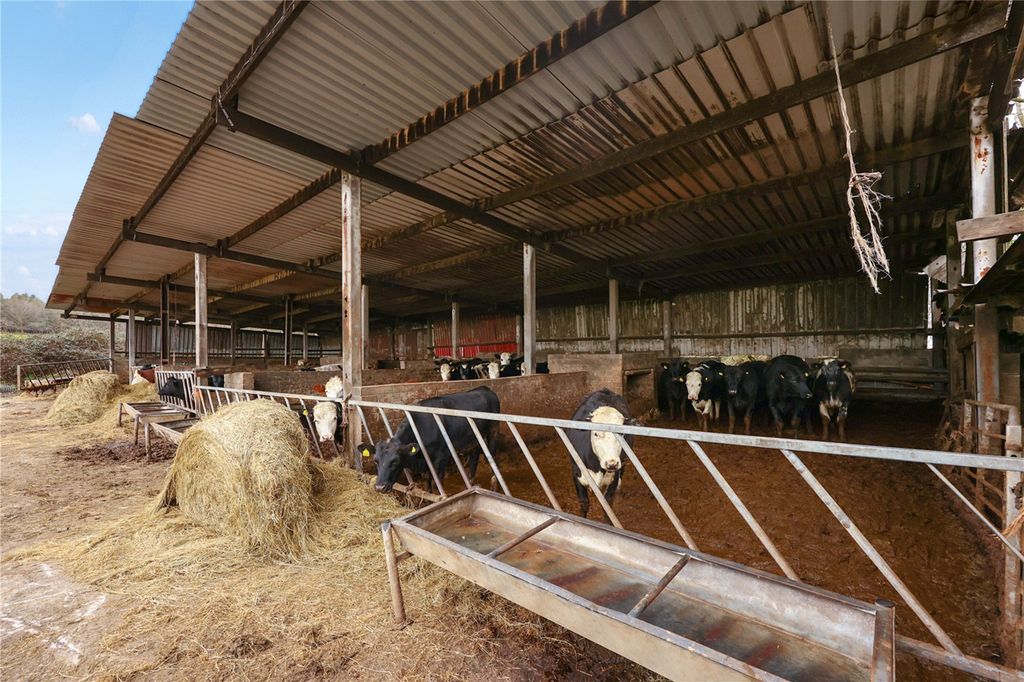 Property photo 3 of 17 Picture No. 03