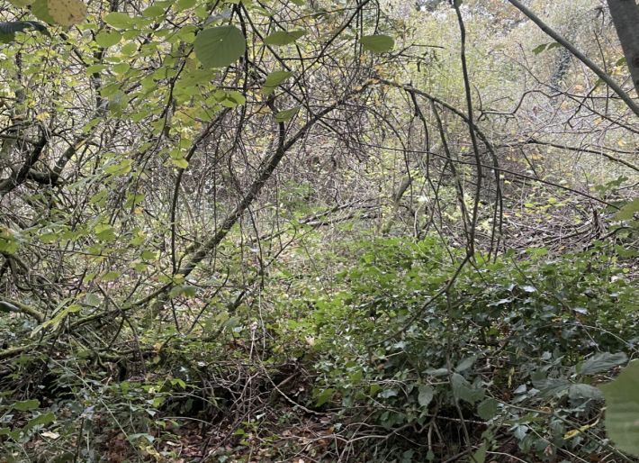 Property photo 1 of 2