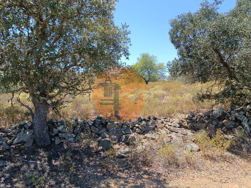 Property photo 3 of 26
