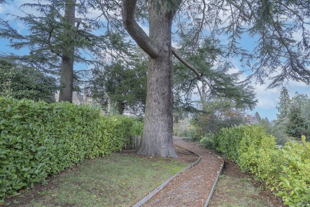 Property photo 2 of 14 Photo 37