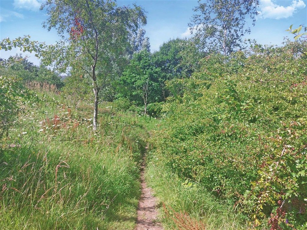 Property photo 3 of 5