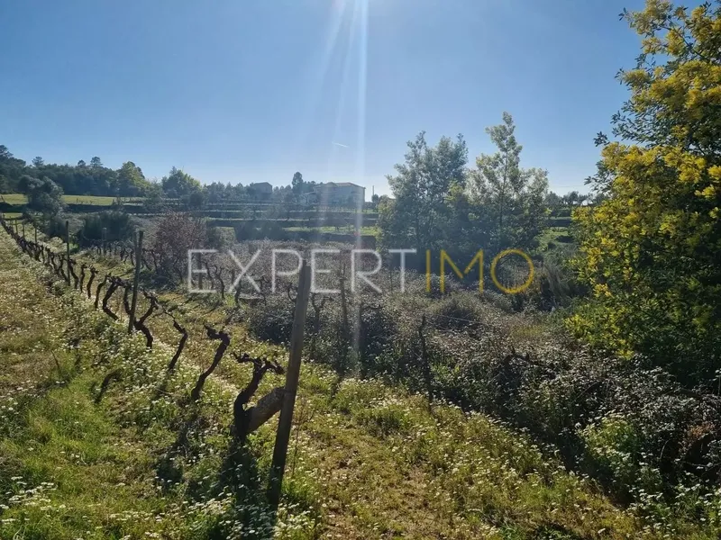 Property photo 2 of 7 Img 1