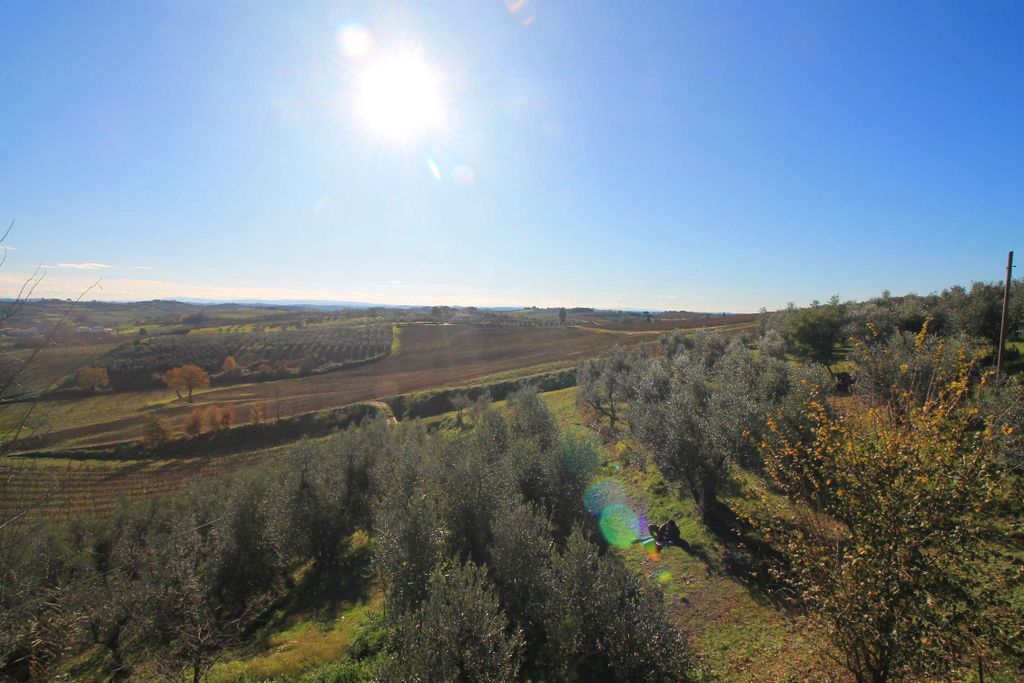 Property photo 3 of 20