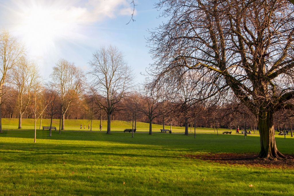 Property photo 2 of 15 Park