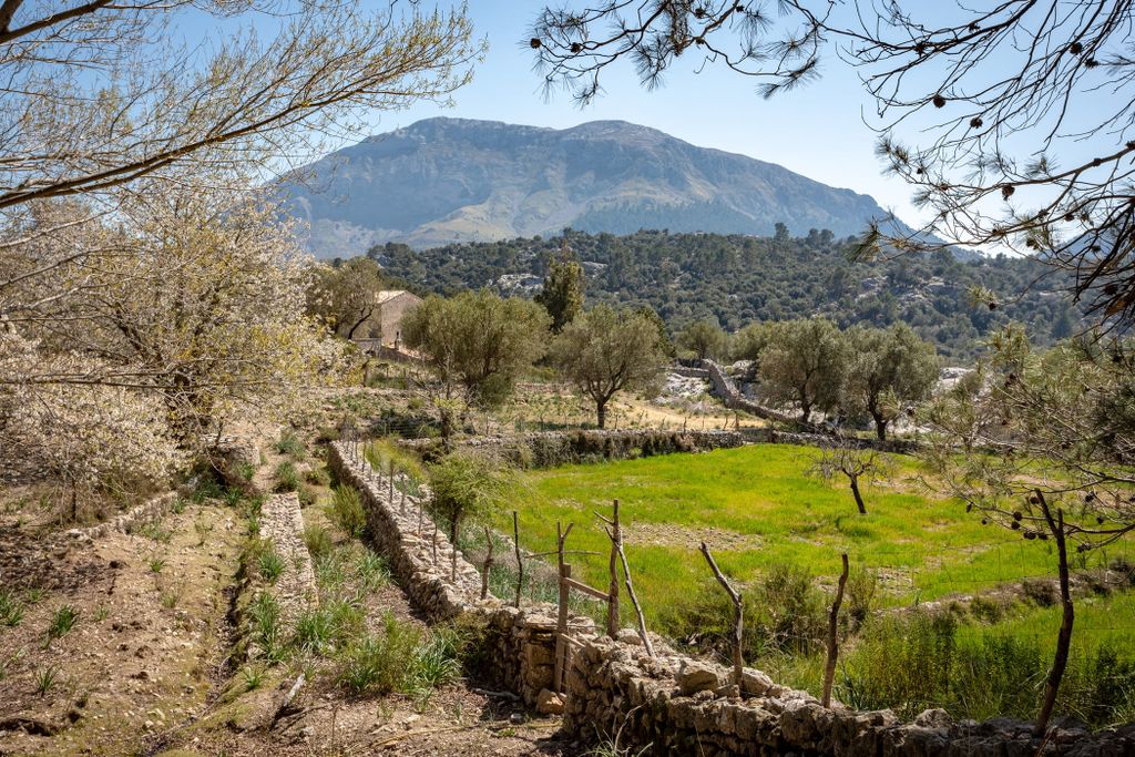 Property photo 3 of 16 Fuster_Villa_Escorca_65303_Web-02-Min.Jpg