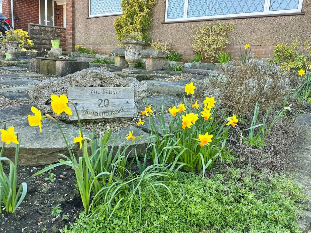 Property photo 2 of 32 The Patch