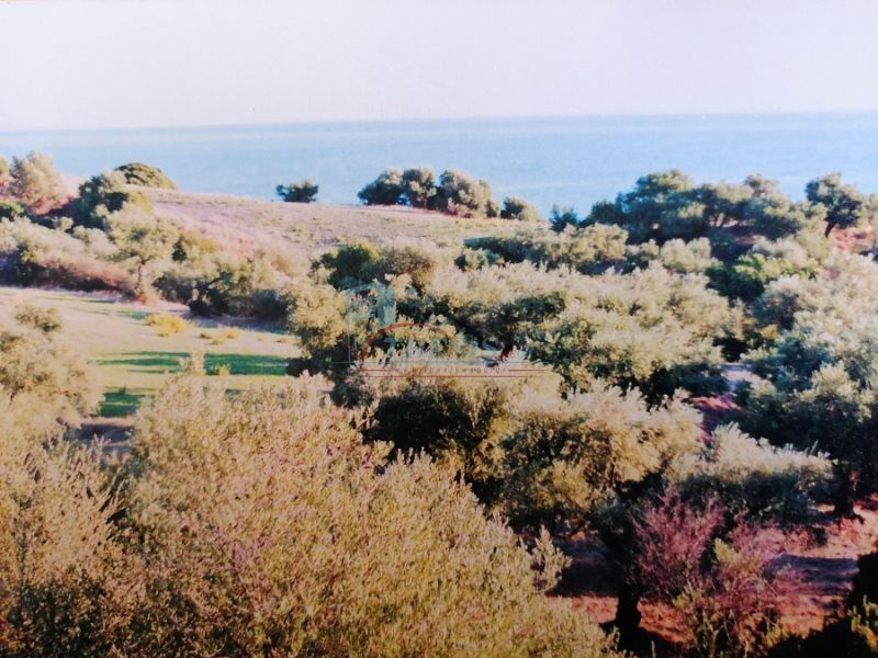 Property photo 1 of 5 Plot, 5000 Sq, For Sale