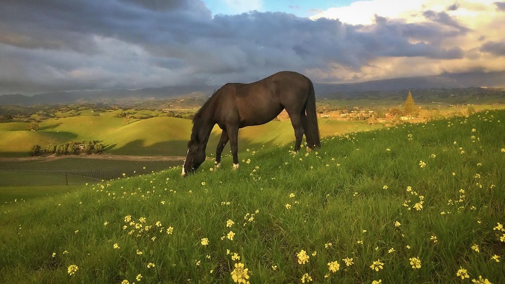 Property photo 3 of 10 <Alttext/>