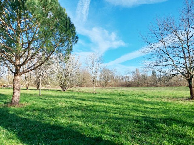 Property photo 3 of 31