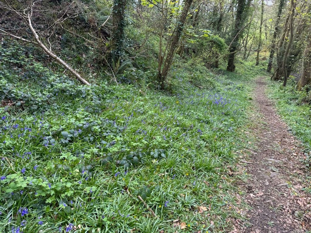 Additional image 91 of 6 bed farm for saleCross Inn, New Quay SA44
