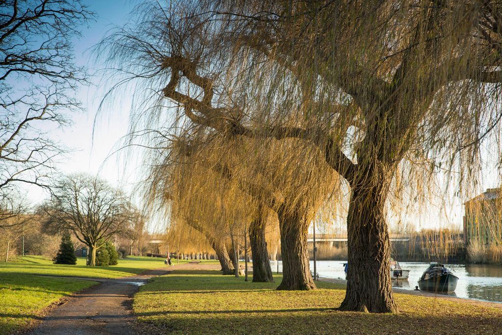 Property photo 2 of 11 Image