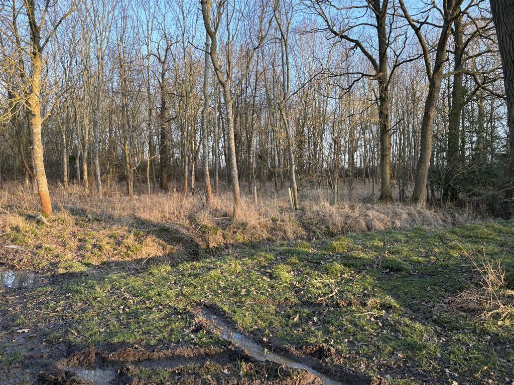 Property photo 1 of 3 Img_8552.Jpg