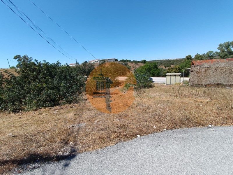 Property photo 3 of 50