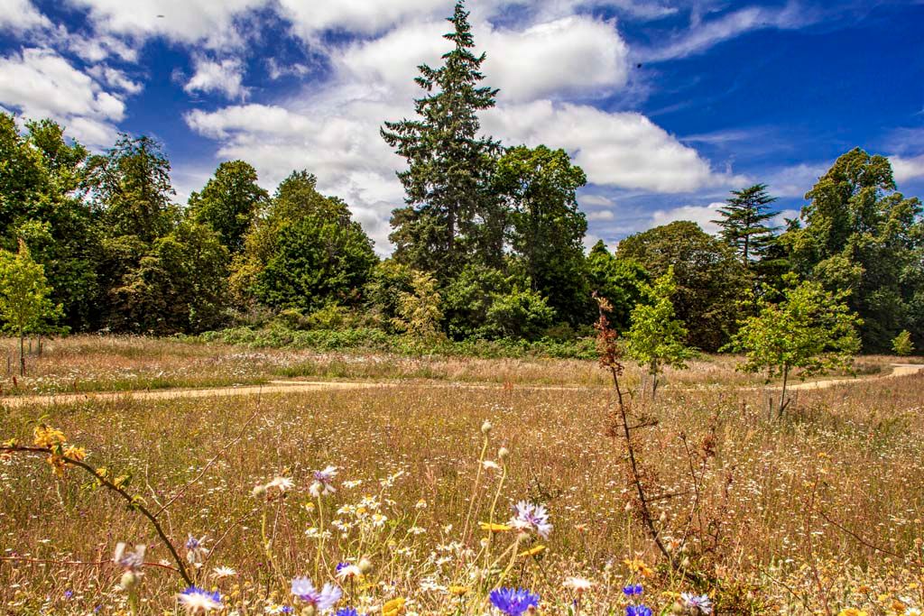 Property photo 2 of 39