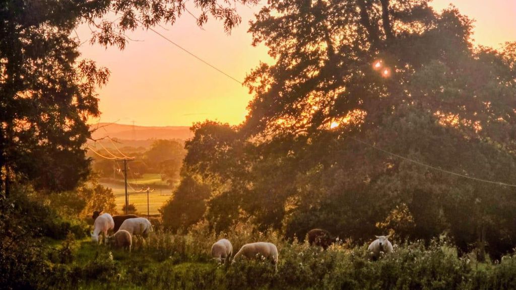 Property photo 2 of 26