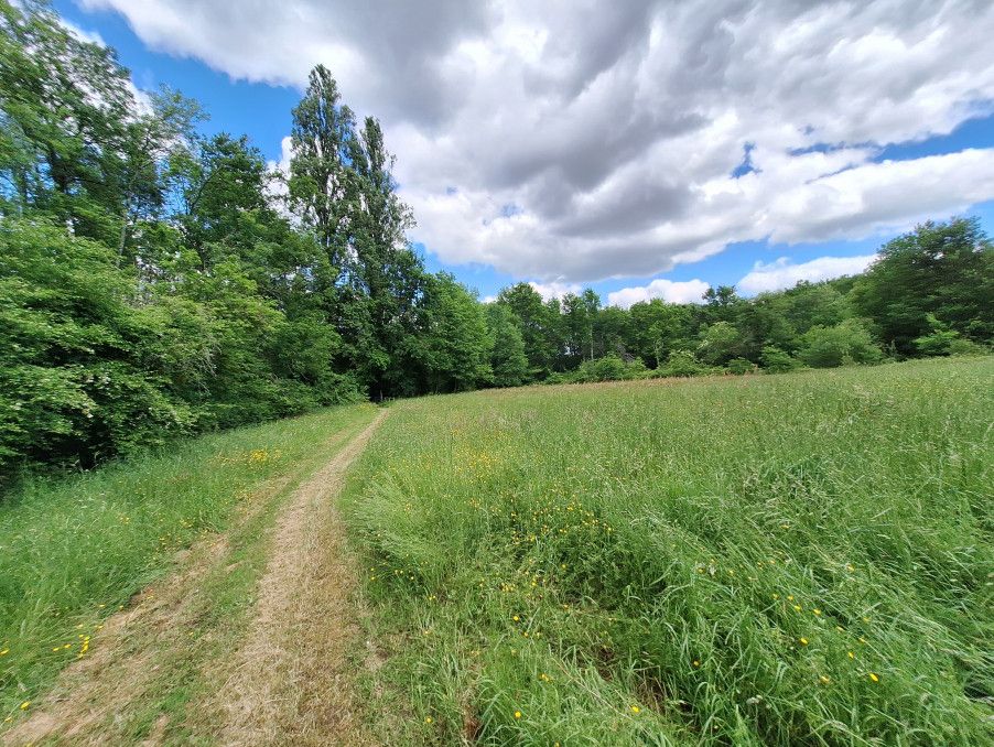 Property photo 3 of 24