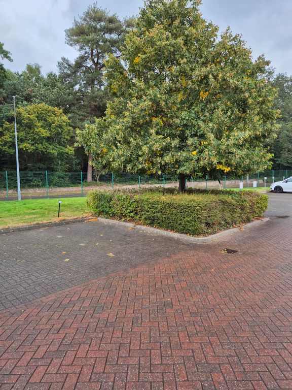 Property photo 3 of 6 Well Landscaped Estate