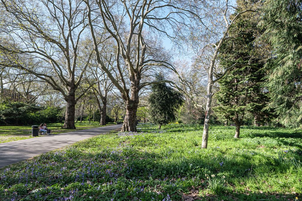 Property photo 2 of 25 Southwark-Park-Road-Fuji-128-1_55198228621_O.Jpg