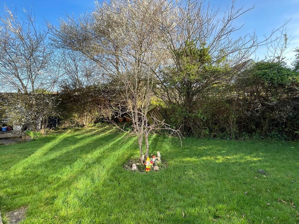 Property photo 3 of 24 Rear Garden