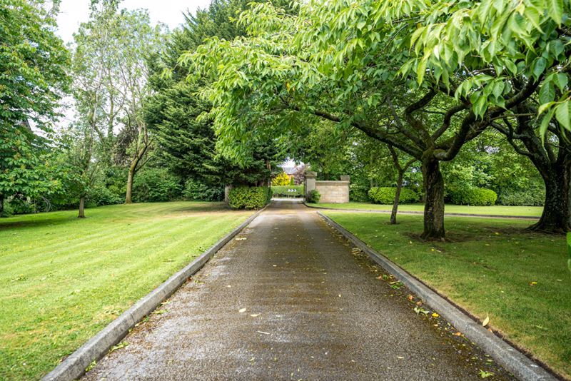 Property photo 3 of 39 Photo 32