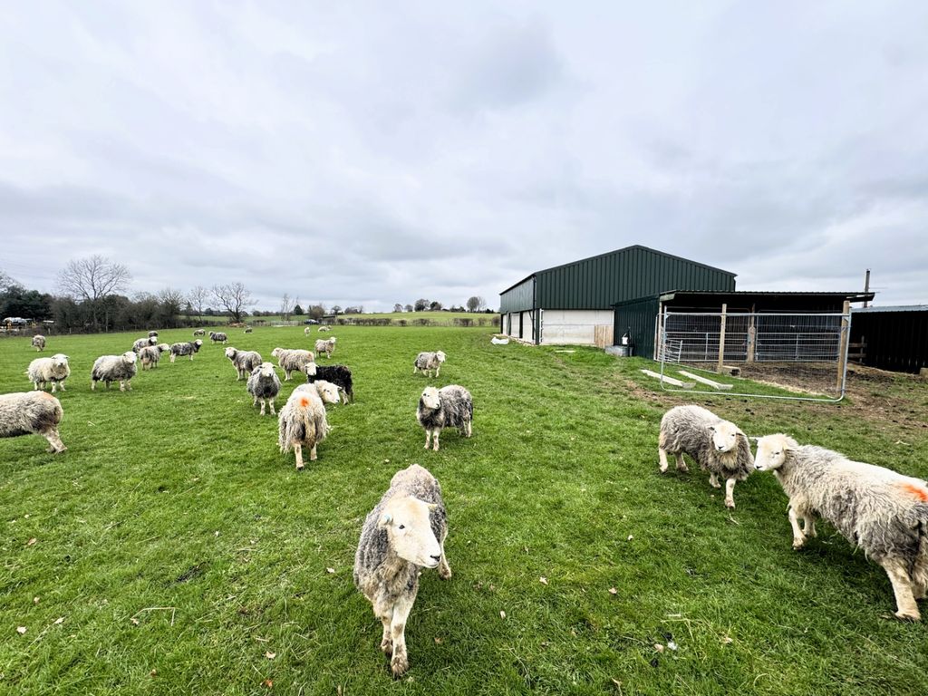 Property photo 3 of 16 Photo 10