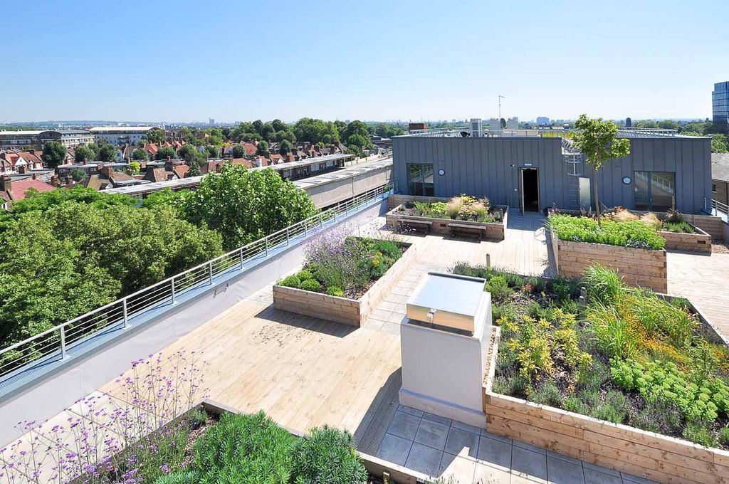Property photo 1 of 10 Terrace / Patio
