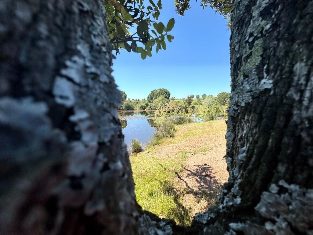 Property photo 1 of 39 Ideal Haven In Alentejo: Unique Investment With Agricultural And Tourism Potential On 94 Ha