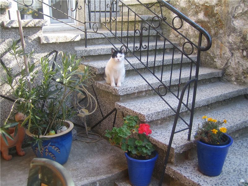 Property photo 2 of 37 Outside Stairs