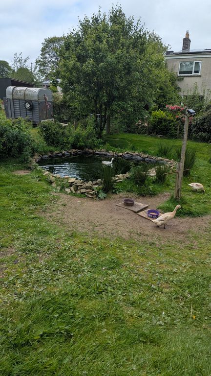 Additional image 24 of 3 bed farm for salePrengwyn, Llandysul SA44
