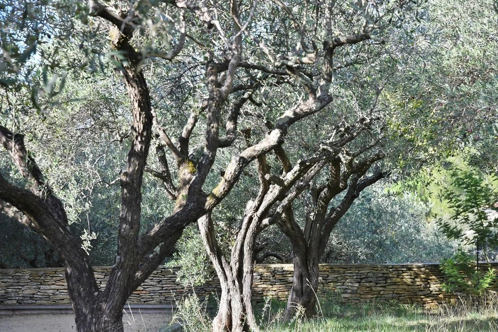 Property photo 3 of 23