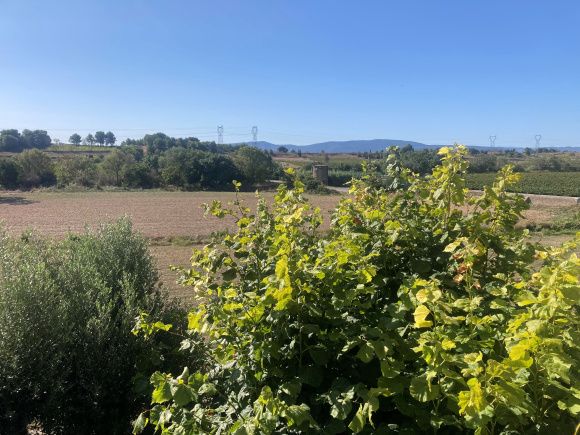 Property photo 3 of 31