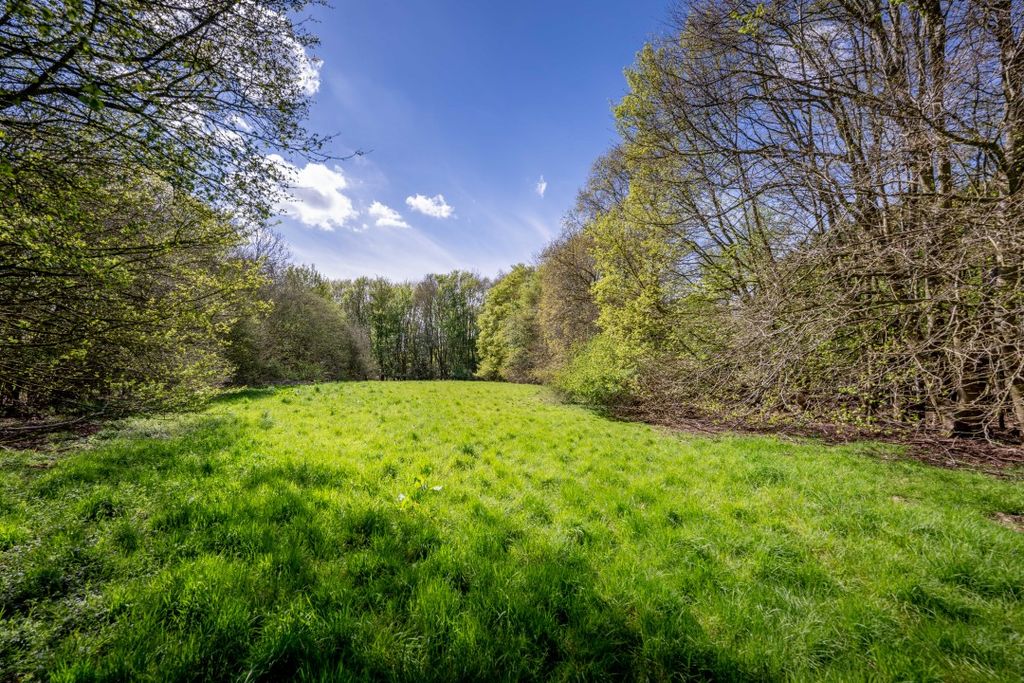 Additional image 33 of 3 bed detached house for saleRackheath, Norwich NR13