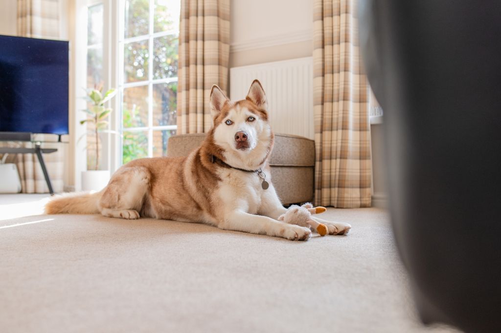 Property photo 3 of 43 Award-Winning Media Team On Every Listing_3