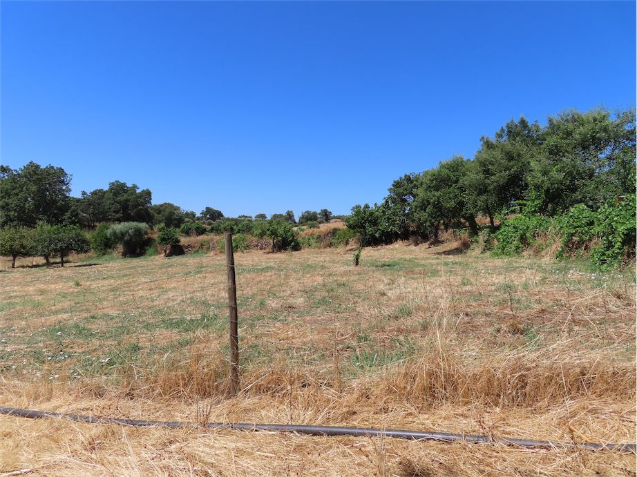 Property photo 2 of 45