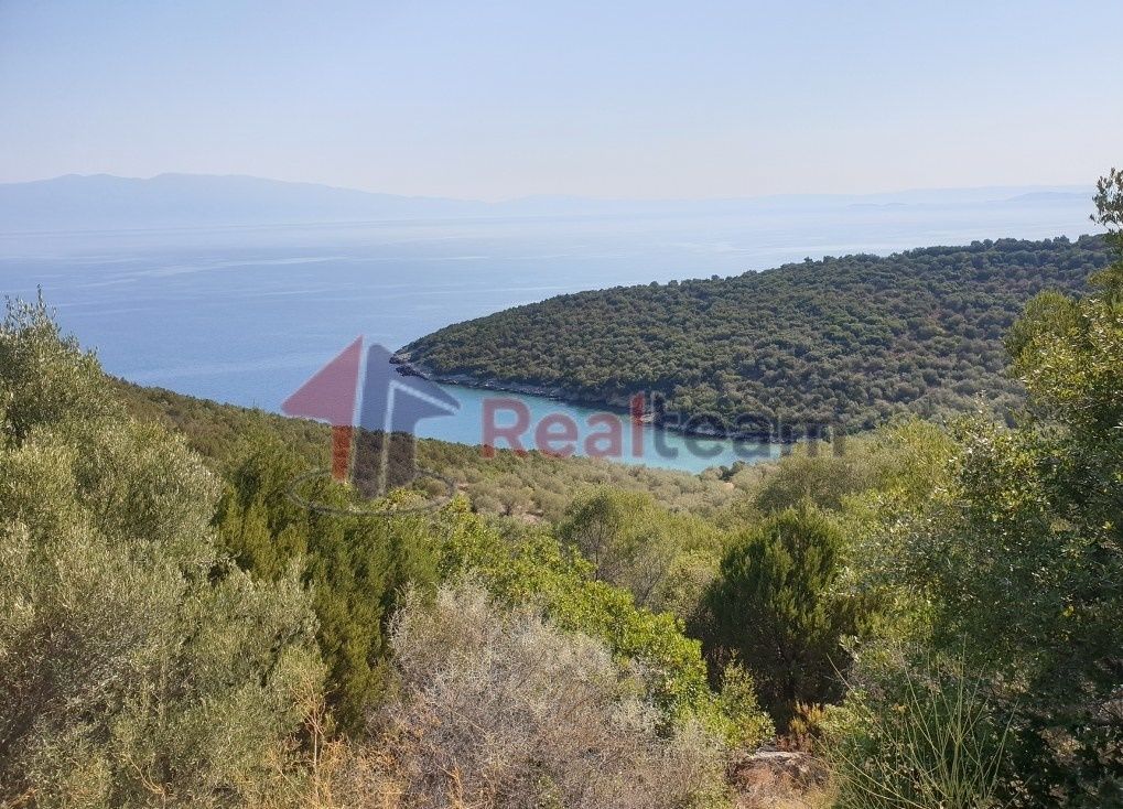 Property photo 3 of 21