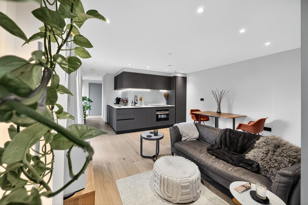 Property photo 3 of 17 Open Plan Living