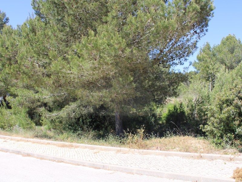Property photo 3 of 4
