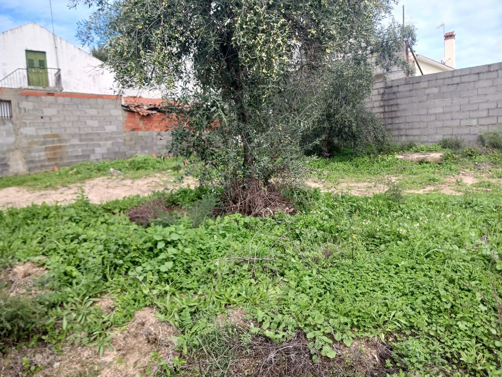 Property photo 2 of 3