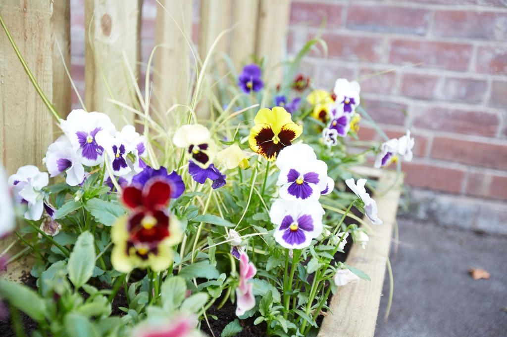 Property photo 2 of 8 A Charming Garden Area Featuring A Wooden Planter ...
