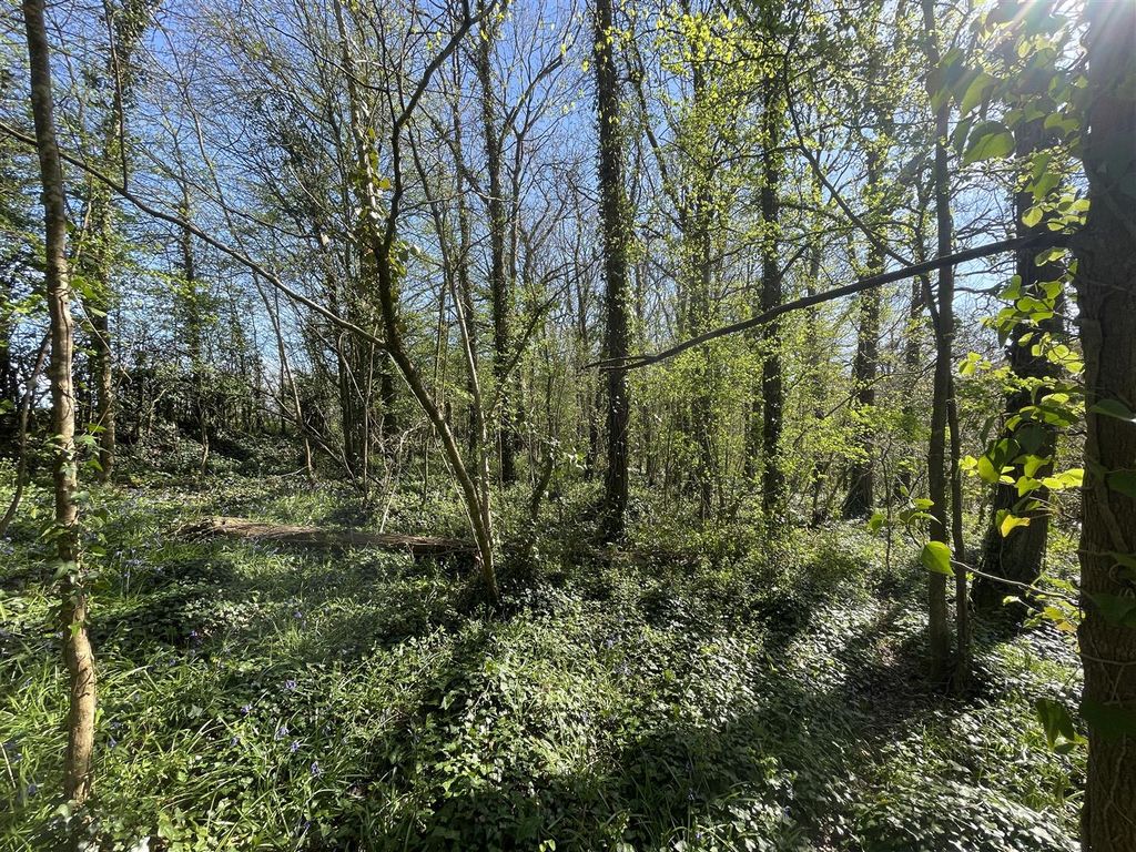 Property photo 3 of 8 3