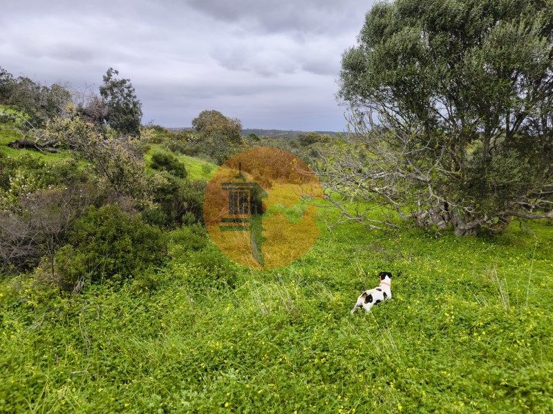 Property photo 1 of 28