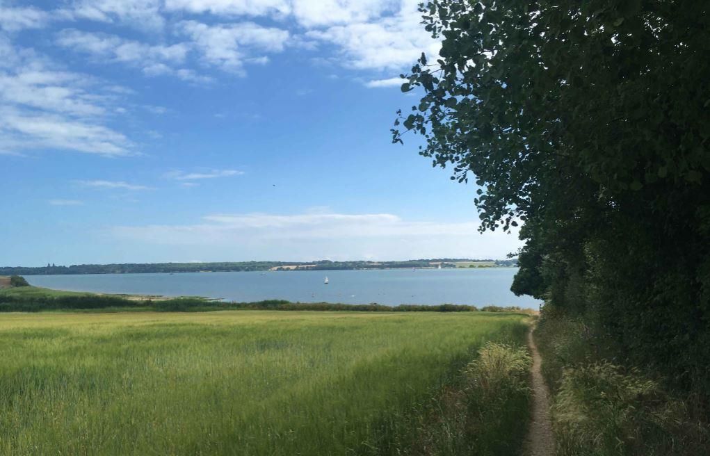 Property photo 3 of 22 Rear Garden