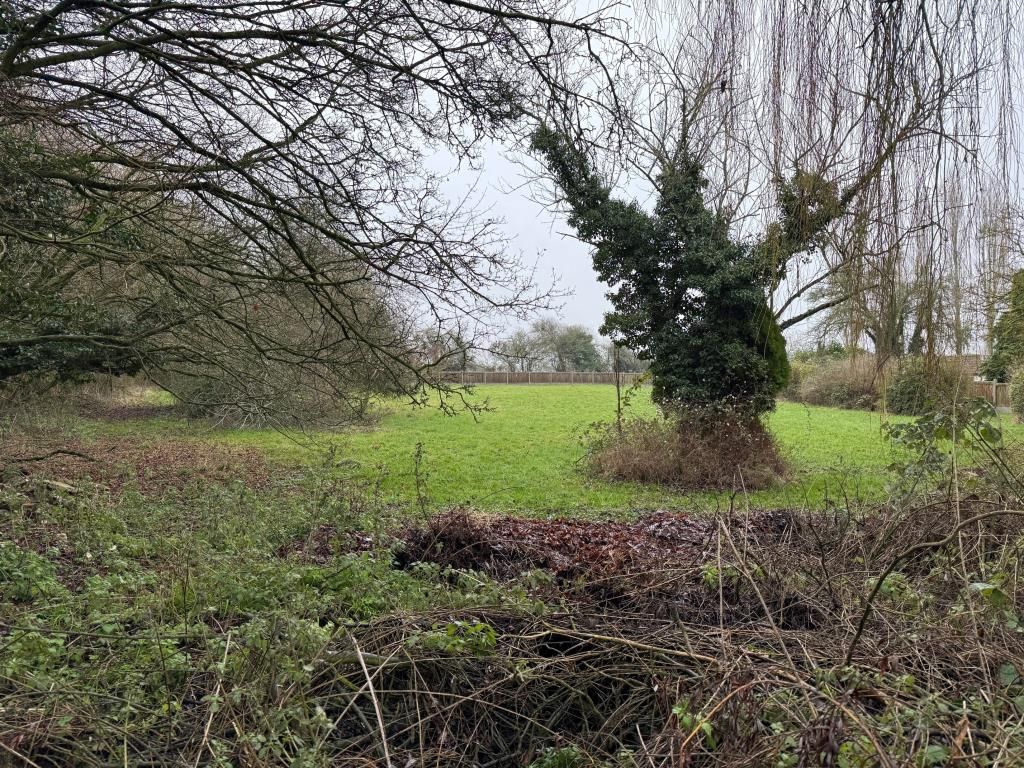Property photo 3 of 7 View Of The Land Looking From The Roadside