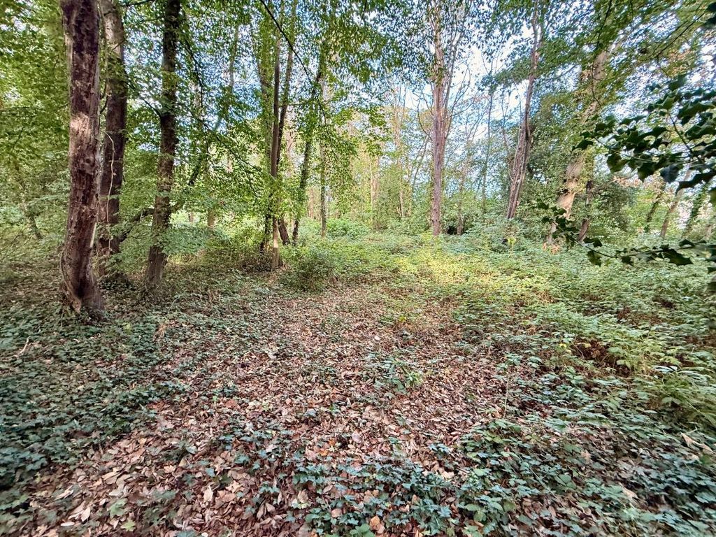 Property photo 3 of 10