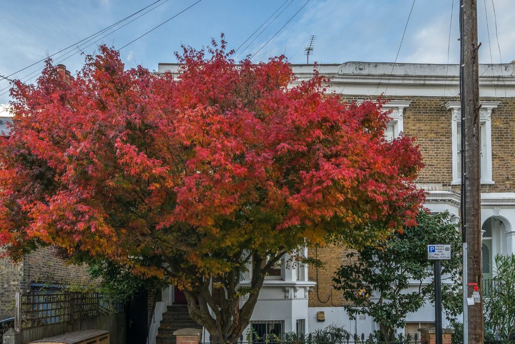 Property photo 1 of 27 Picture No. 03